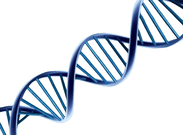 西安正规供卵价格表