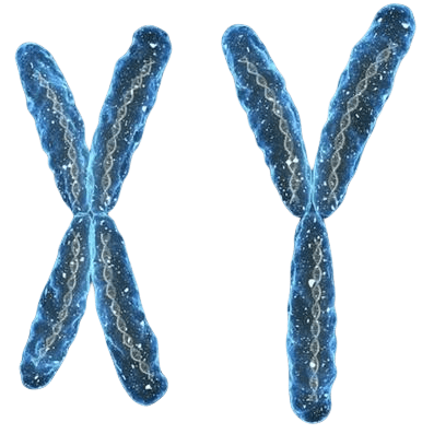 西安供卵联系方式